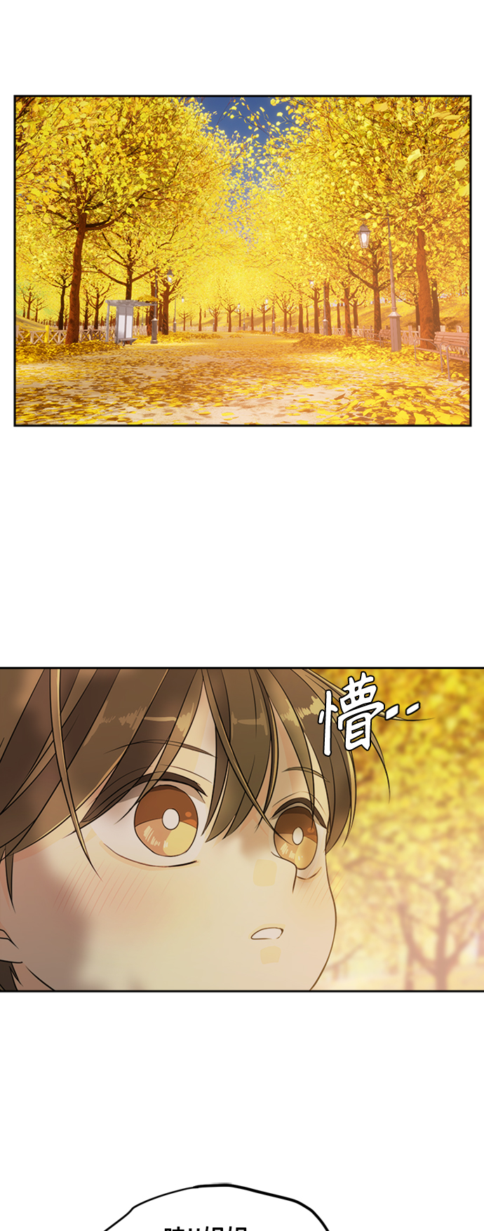 章节图片